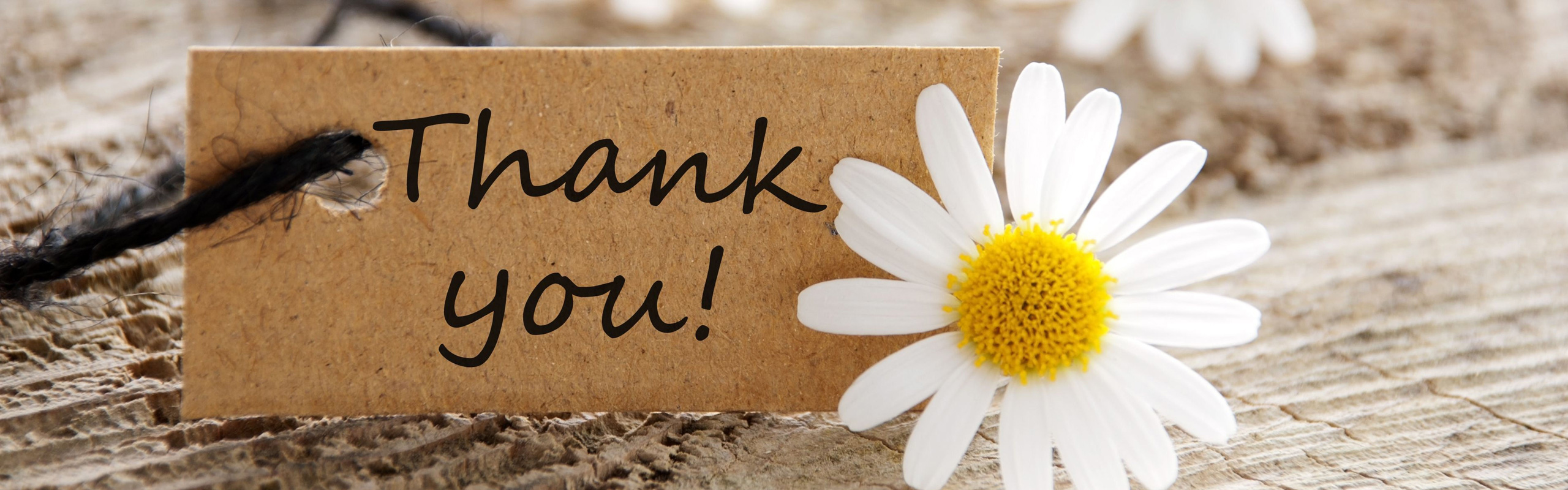 カーネーション